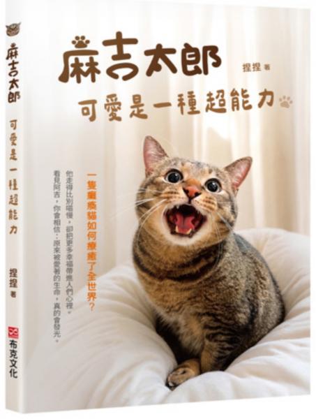 麻吉太郎,可愛是一種超能力:一隻癱瘓貓如何療癒了全世界?