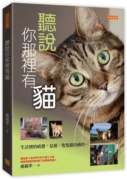 聽說你那裡有貓:生活裡的疲憊,是被一隻隻貓治癒的。