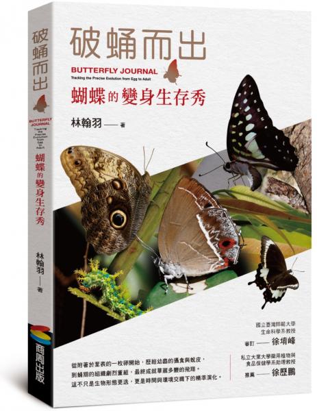 破蛹而出:蝴蝶的變身生存秀