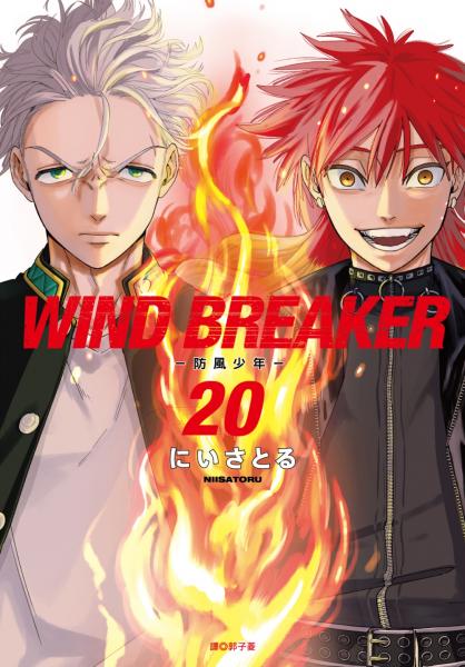 WIND BREAKER—防風少年—(20)