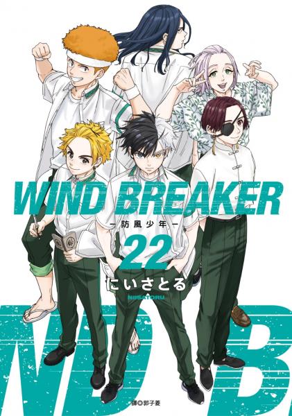 WIND BREAKER—防風少年—(22)