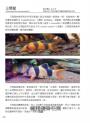 信手鯰來的快樂：被鯰魚圈粉的每一天。從新手到玩家，中大型鯰魚完全飼養指南。精彩圖文×魚種解說×飼養技巧不藏私大公開！
