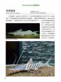 信手鯰來的快樂：被鯰魚圈粉的每一天。從新手到玩家，中大型鯰魚完全飼養指南。精彩圖文×魚種解說×飼養技巧不藏私大公開！