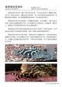 信手鯰來的快樂：被鯰魚圈粉的每一天。從新手到玩家，中大型鯰魚完全飼養指南。精彩圖文×魚種解說×飼養技巧不藏私大公開！