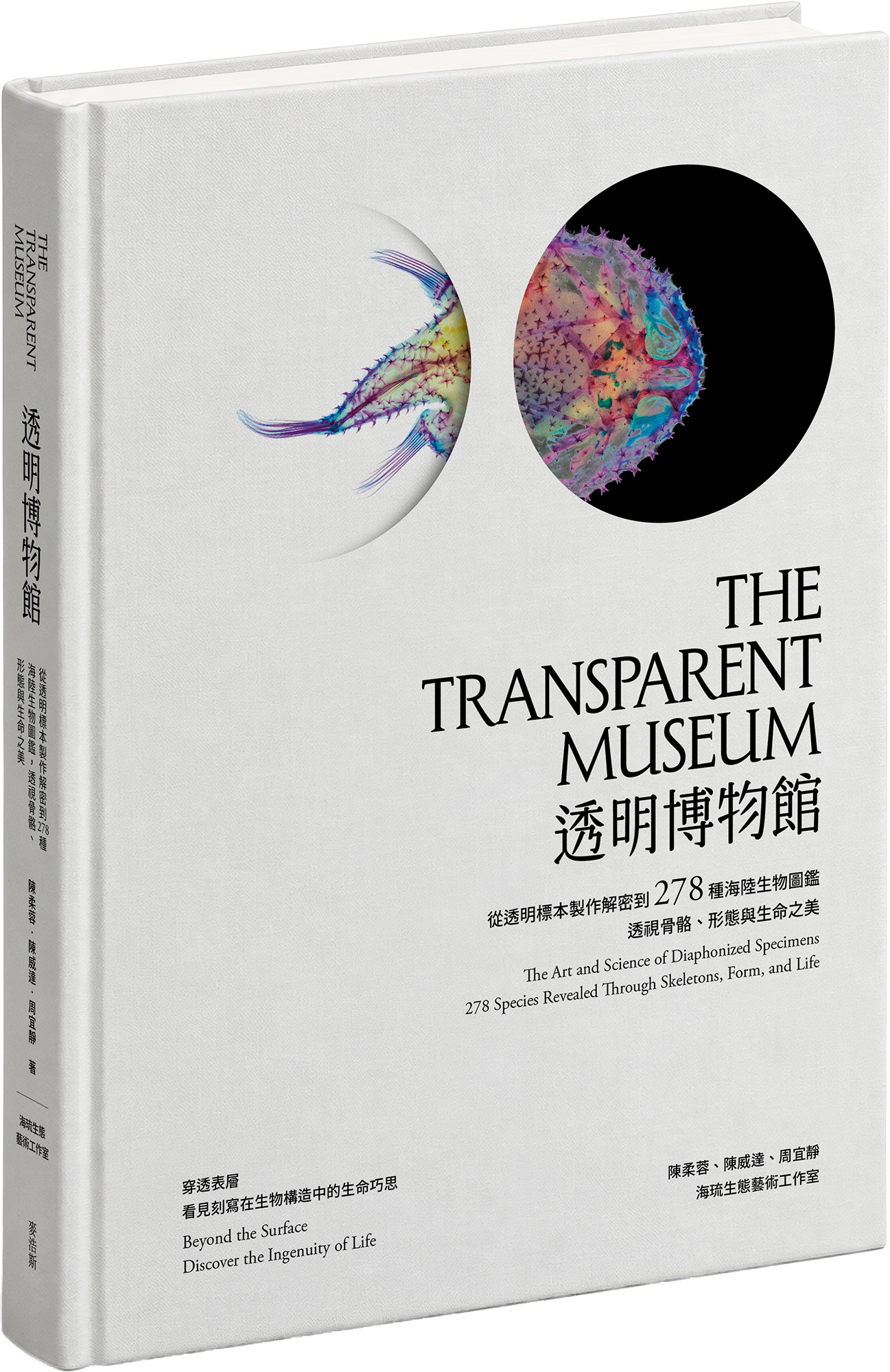 透明博物館：從透明標本製作解密到278種海陸生物圖鑑，透視骨骼、形態與生命之美
