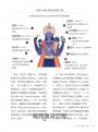 世界宗教超圖解：100張圖讀懂人類信仰文明與神祇知識智慧