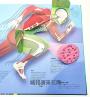 哇！人體百科變立體了（3D紙雕X翻頁機關X互動科普書，從外層皮膚到內部器官，層層探索人體深處，就像身歷其境的解剖課）