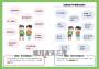小學生看漫畫學建立自信:學習自我肯定,勇於嘗試探索,成為內心強大的自己!
