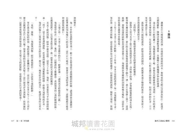 慧眼：魯巴三部曲之二