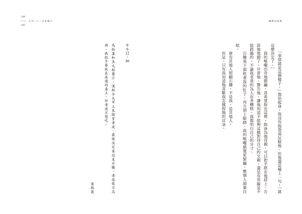 鶴群向南飛【瑞典年度之書大獎】