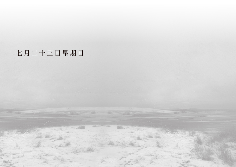 鶴群向南飛【瑞典年度之書大獎】