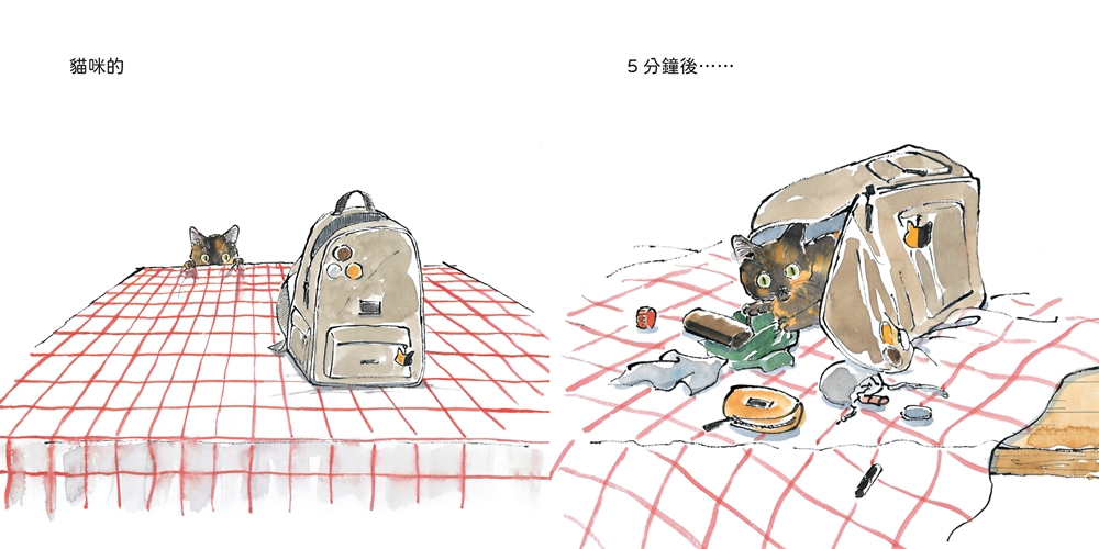 貓咪的5分鐘