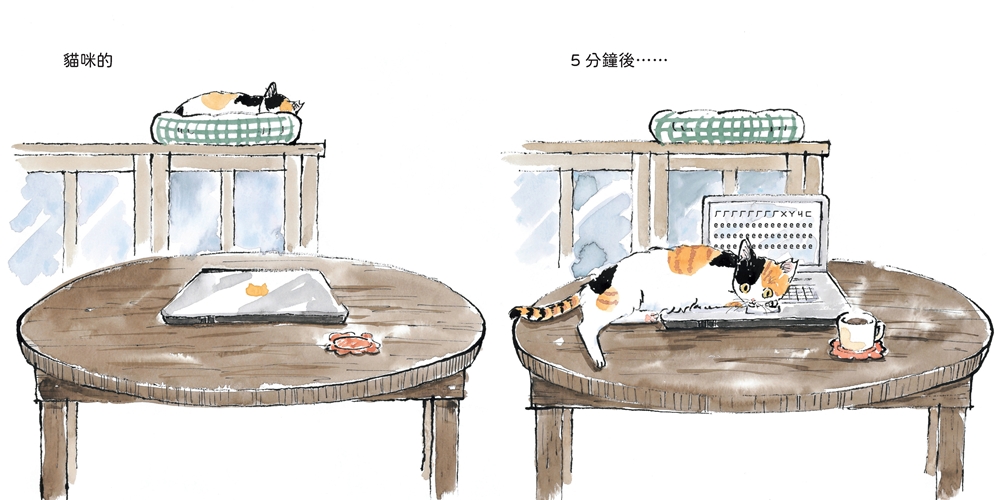 貓咪的5分鐘