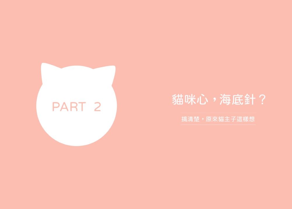 貓心思：100個貓行為背後的真相