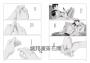 間隙（全四集）【加贈套書限定紀念海報】