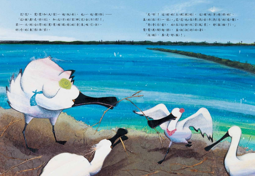 黑面琵鷺來過冬(SDG15保育陸域生態繪本)