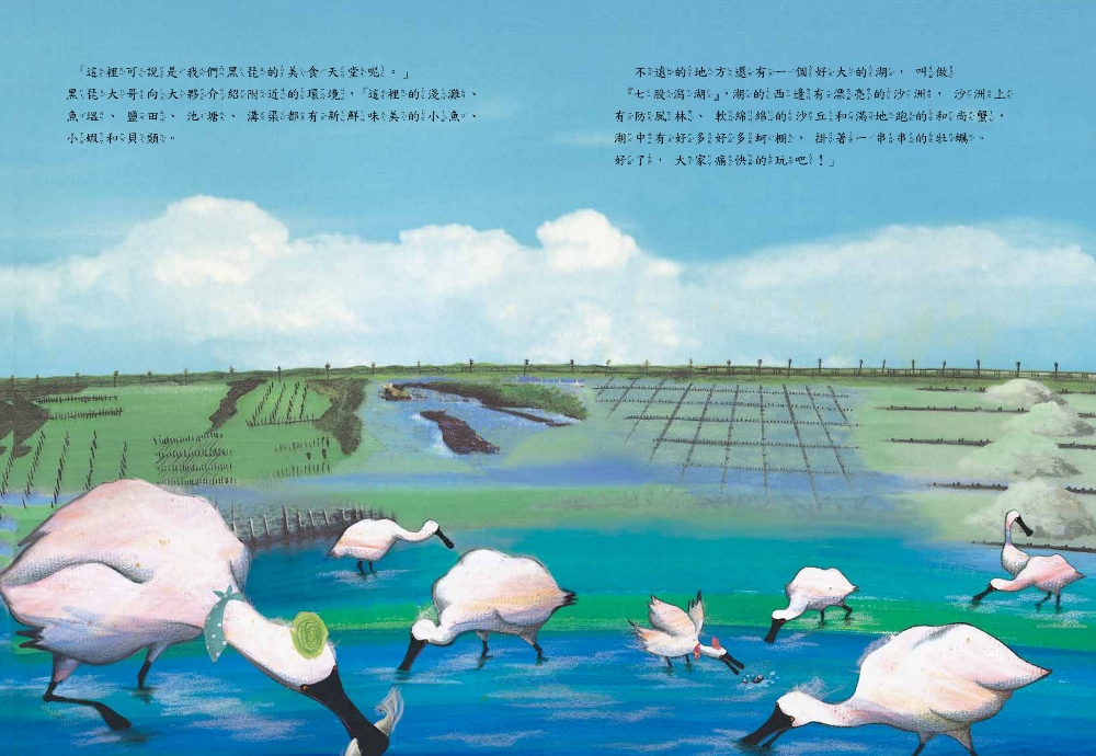 黑面琵鷺來過冬(SDG15保育陸域生態繪本)