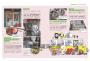 BT21帶你環遊世界：MOOK第4站──曼谷【附獨家贈品】