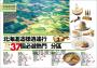 北海道攻略完全制霸2026