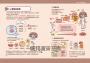 全彩圖解身體圖鑑：解剖生理學筆記