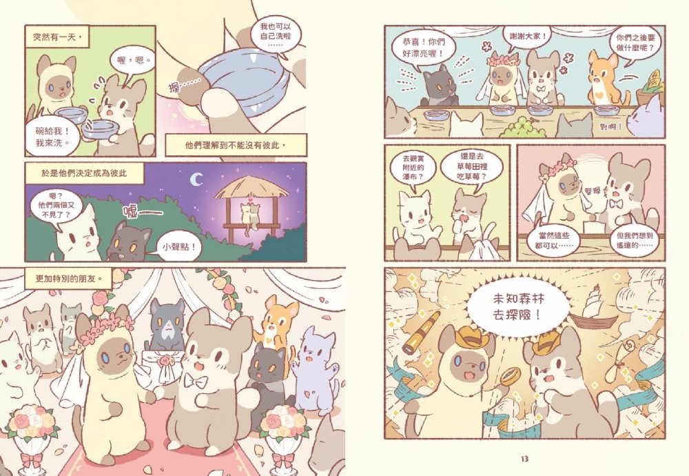 星光閃耀的貓咪小鎮02：麻煩照顧小奶貓！