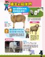 邊玩邊學自然！Minecraft生物密碼大圖鑑