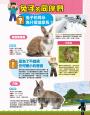 邊玩邊學自然！Minecraft生物密碼大圖鑑