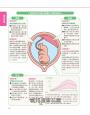 圖解《懷孕生產圖文百科》最新修訂版：超實用！新手媽咪必懂的孕期知識