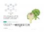 野菜圖典：從田野到餐桌，180種蔬菜身世與風味