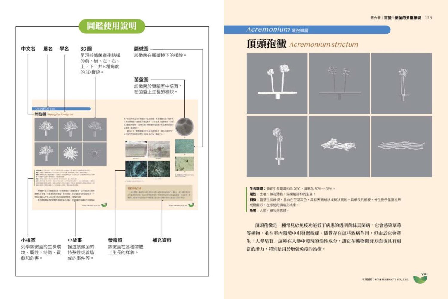 第一本黴菌全書：微觀黴菌世界