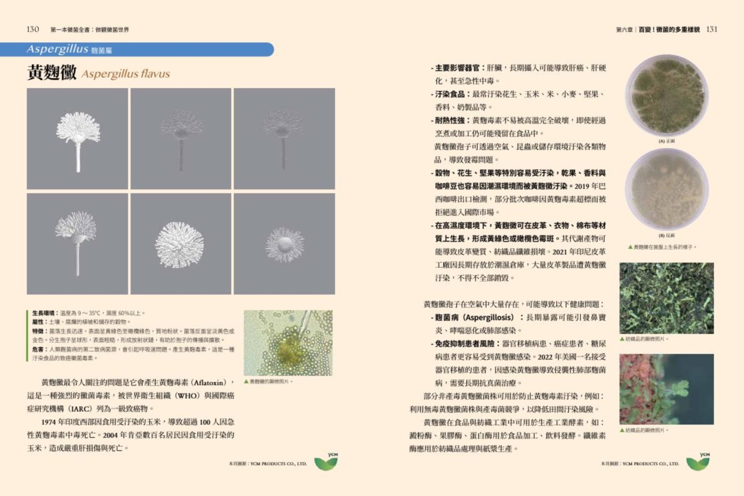 第一本黴菌全書：微觀黴菌世界