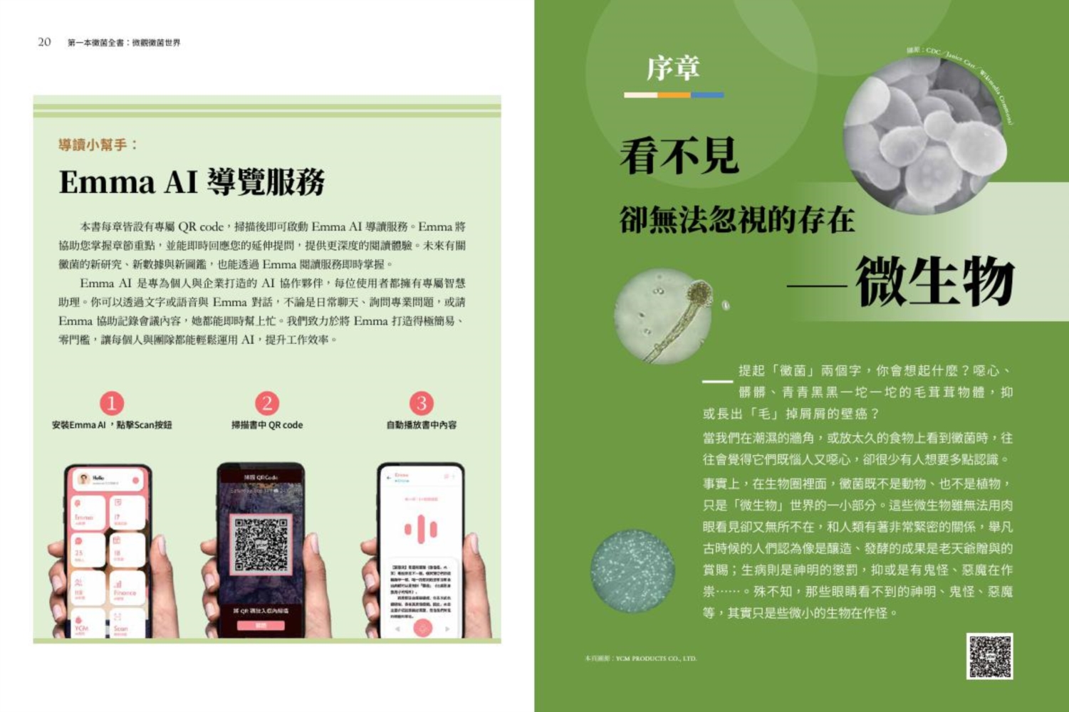 第一本黴菌全書：微觀黴菌世界