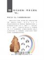 從考古看甲骨：文字裡的古代中國（野生動物篇）